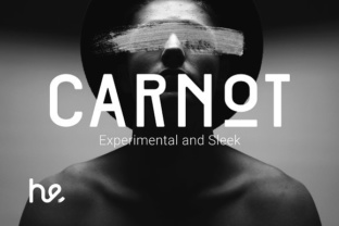 Carnot: A Modern Grotesk Typeface for Bold Web Design