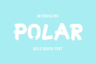 Designing with Polar: A Cold Display Font for Modern Web Layouts
