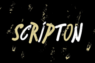 Scripton Font Review: A Bouncy Urban Display Typeface