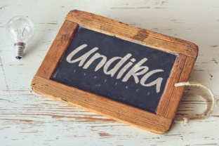 Undika: The Playful Display Font for Bold Campaigns