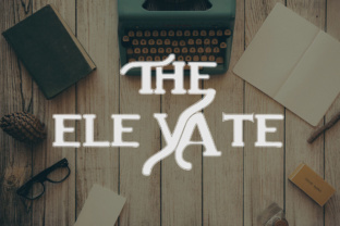 Using The Elevate Display Font for Modern Branding